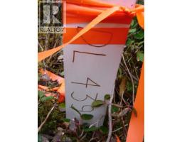 Lot 2 Highway 16, Daajing Giids Rural, BC V0T1R0 Photo 10