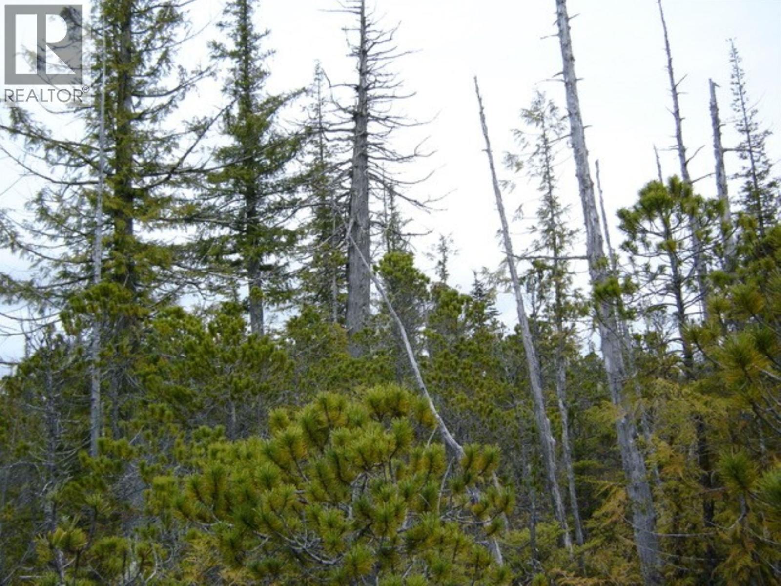 LOT 2 HIGHWAY 16, Daajing Giids Rural — photo 3