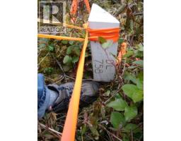 Lot 2 Highway 16, Daajing Giids Rural, BC V0T1R0 Photo 8
