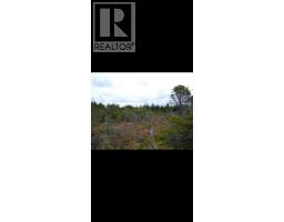 Lot 2 Highway 16, Daajing Giids Rural, BC V0T1R0 Photo 11