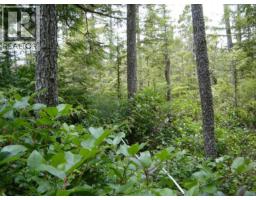 Lot 2 Highway 16, Daajing Giids Rural, BC V0T1R0 Photo 6
