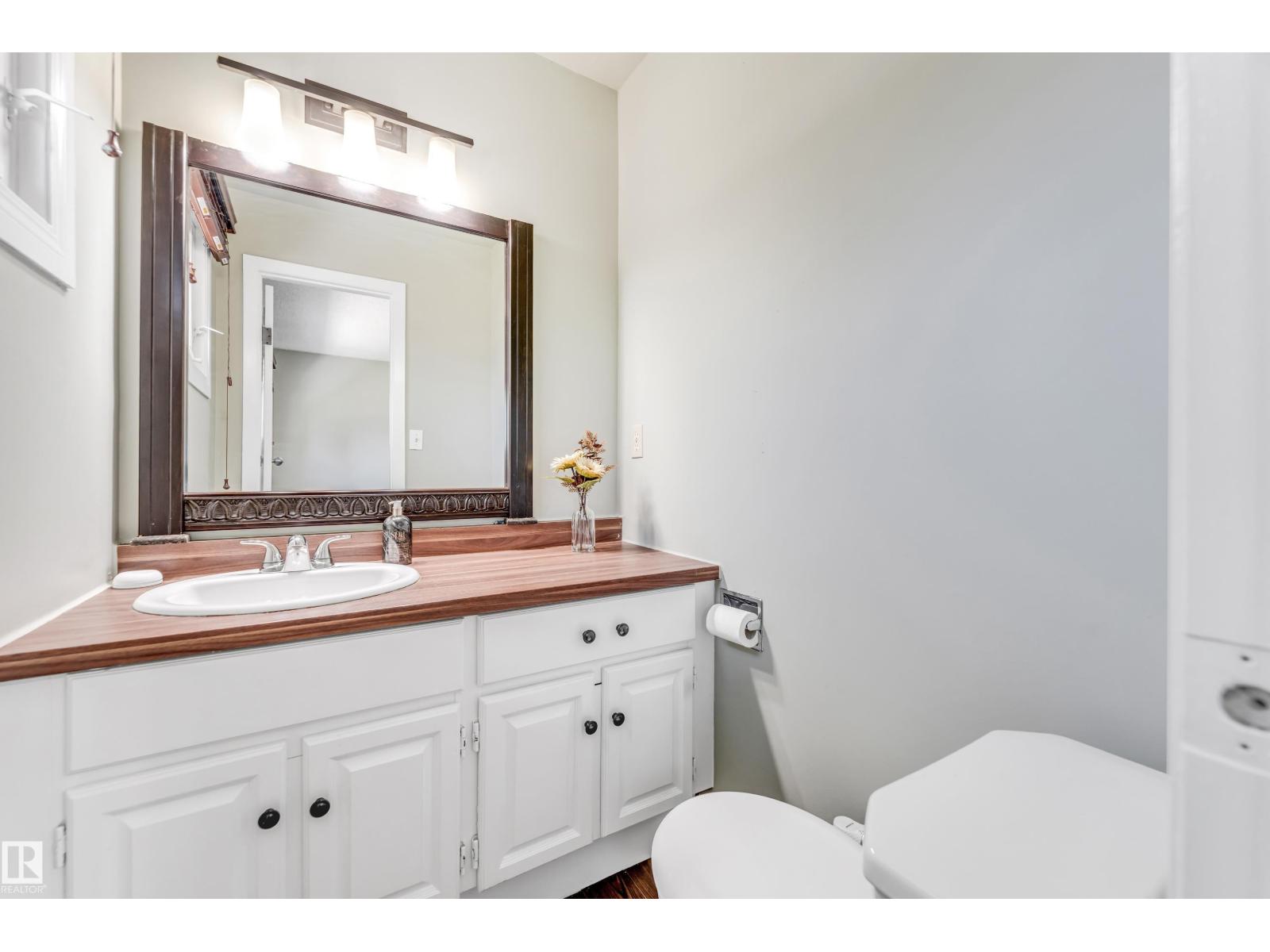 Photo 51 of 3923 67 St Nw, Edmonton AB