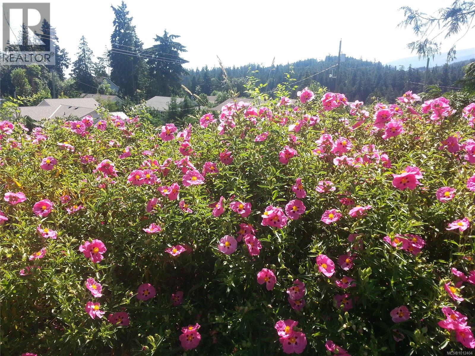 Photo 5 of 1731 Dars Pl, Qualicum Beach BC