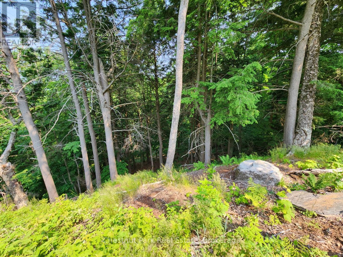 Photo 16 of 19 Old Hemlock Trail, Huntsville ON