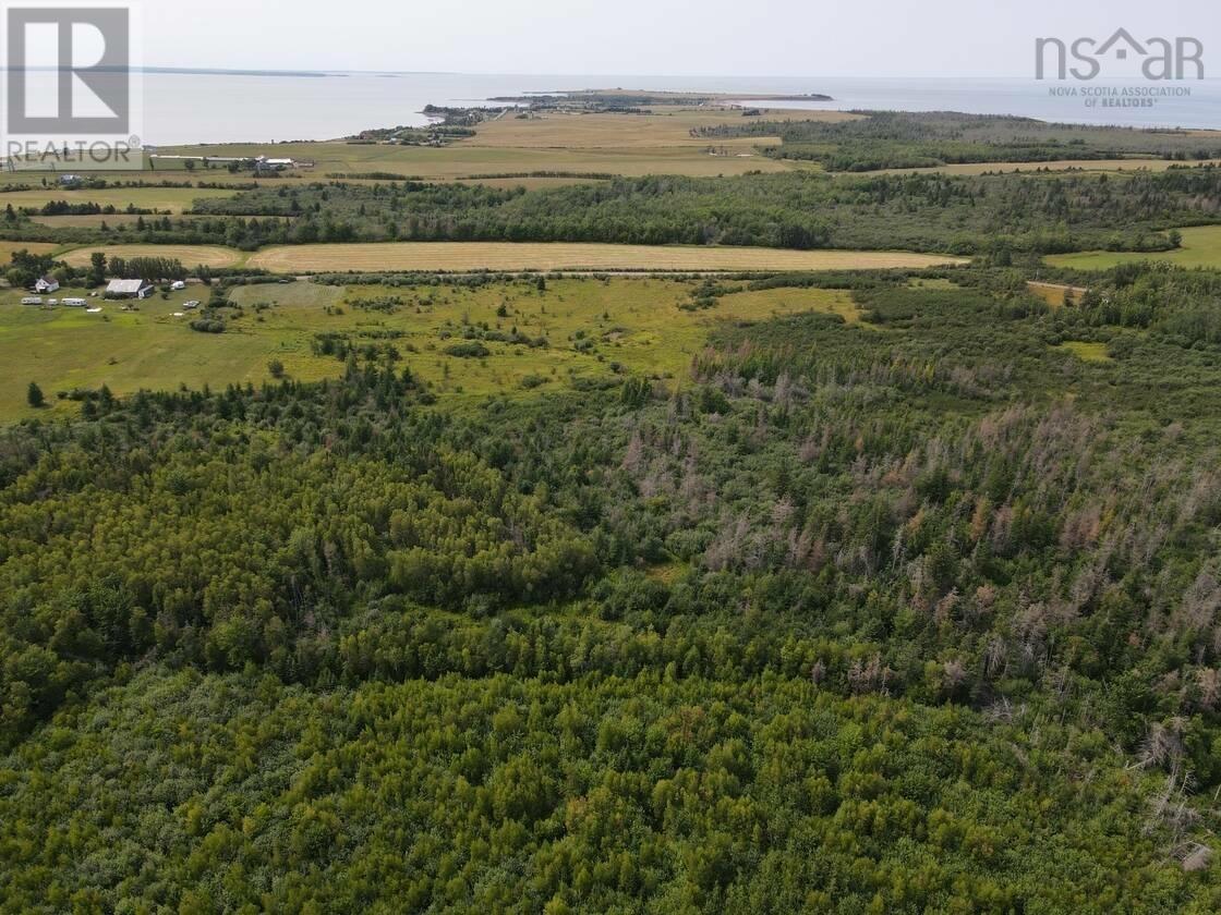 Property 4 of 6 of 124 New Road