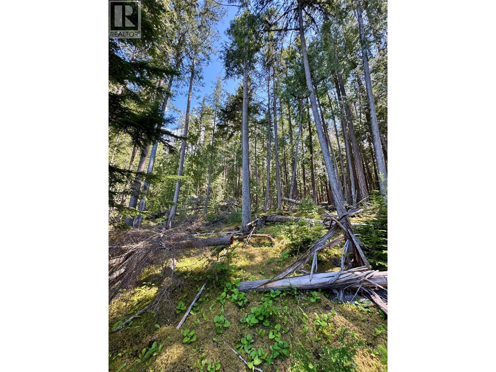 Lot 4 Pete Martin Bay, Sicamous