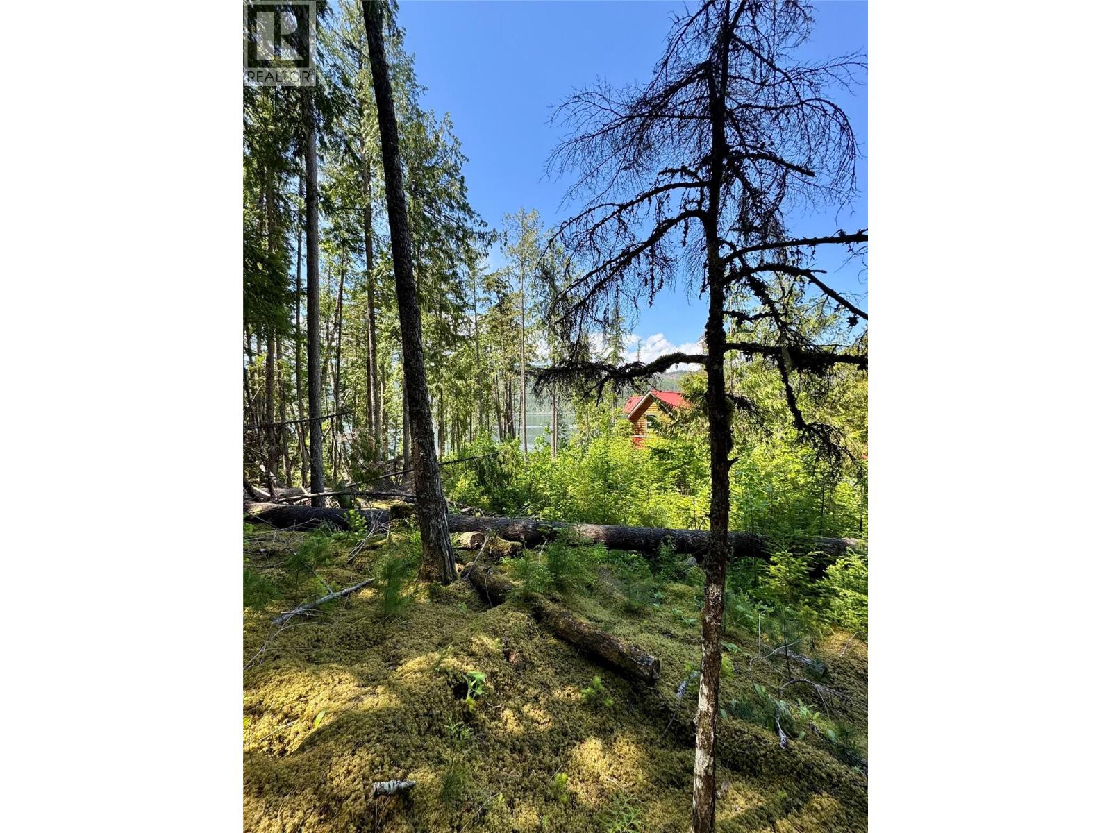 Lot 4 Pete Martin Bay, Sicamous