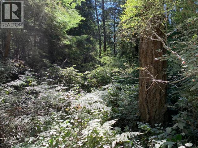 1824 VANCOUVER BLVD, Savary Island