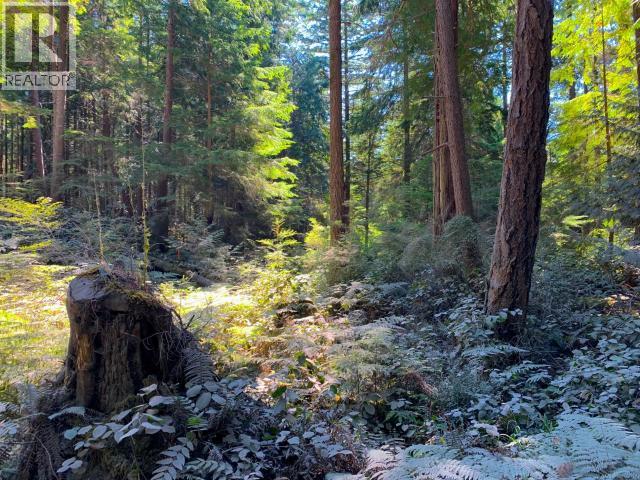 1824 VANCOUVER BLVD, Savary Island