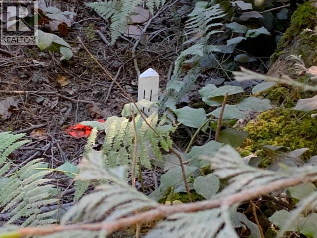 1824 VANCOUVER BLVD, Savary Island