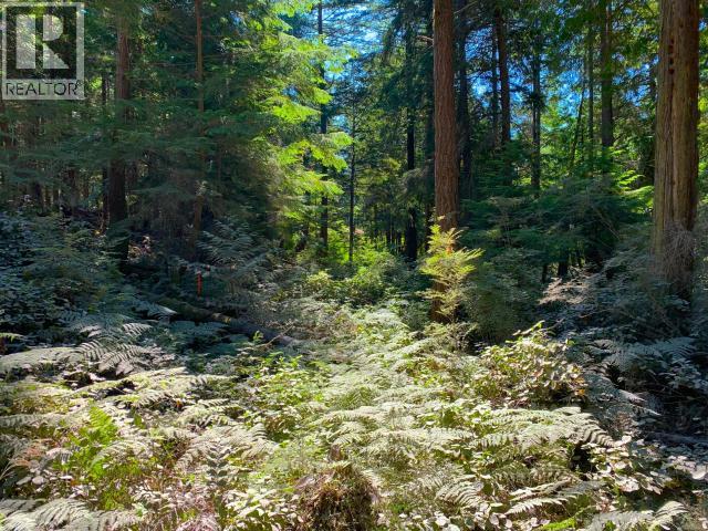 1824 VANCOUVER BLVD, Savary Island