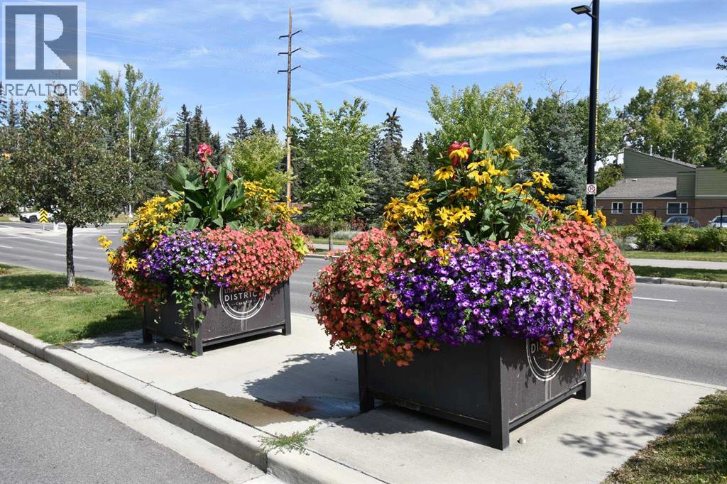 Photo 28 of 205 3125 39 Street Nw, Calgary AB