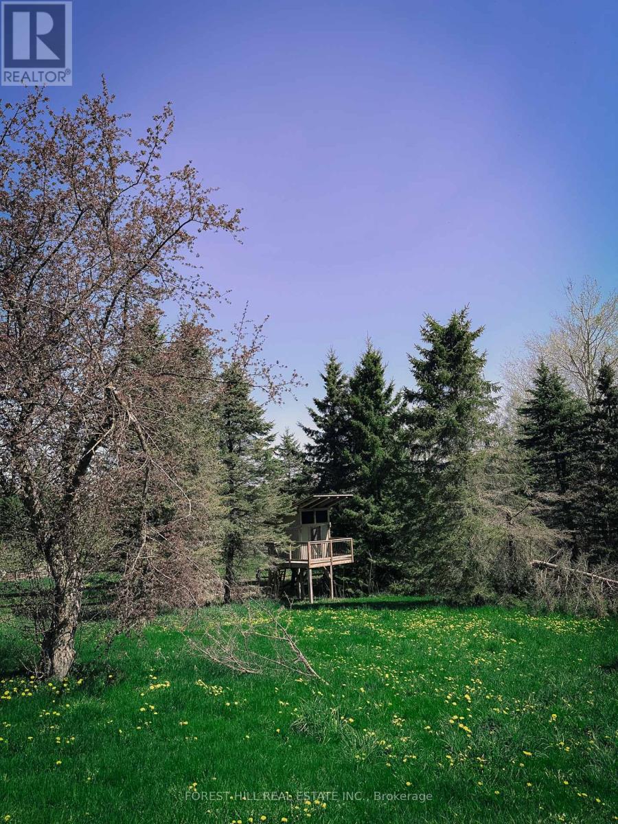Photo 9 of 486289 30th Side Road, Mono ON
