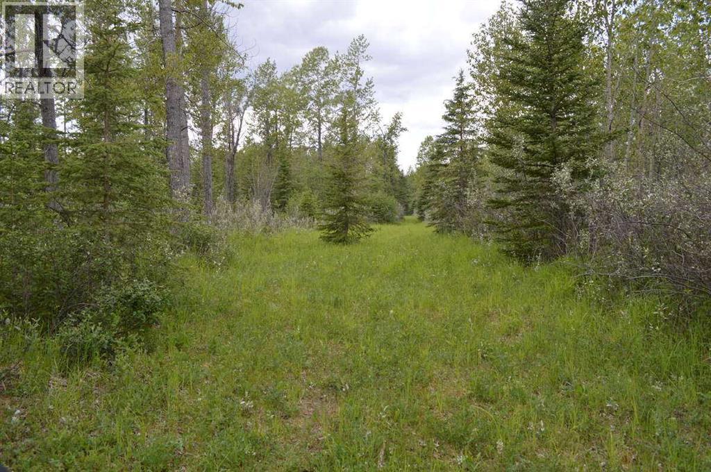 Photo 41 of 62076 James River Road, Rural Clearwater County AB
