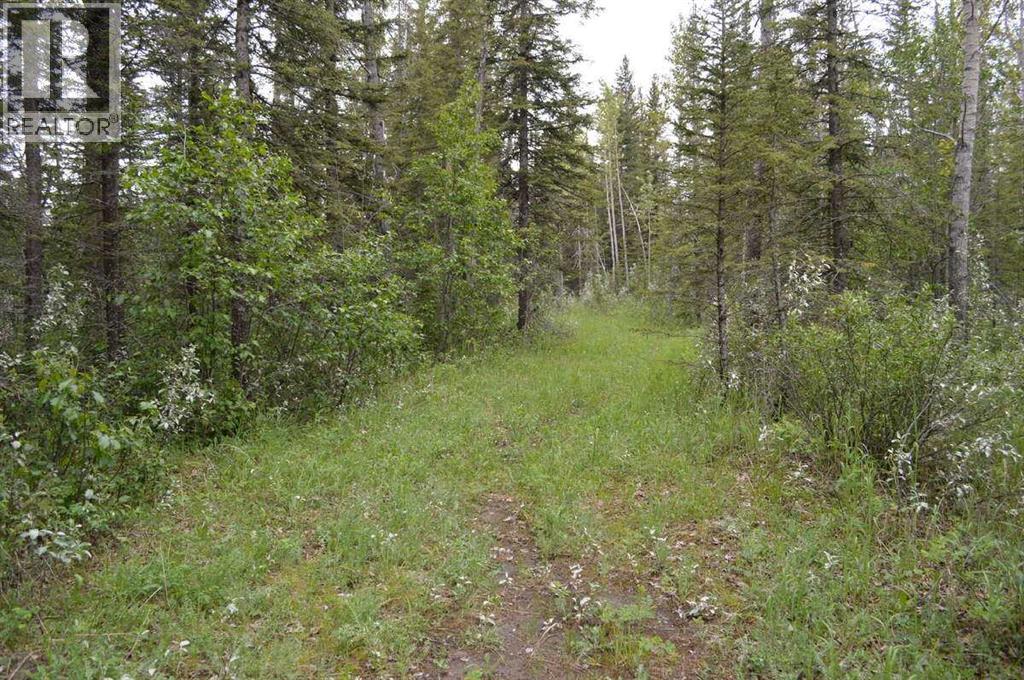 Photo 40 of 62076 James River Road, Rural Clearwater County AB