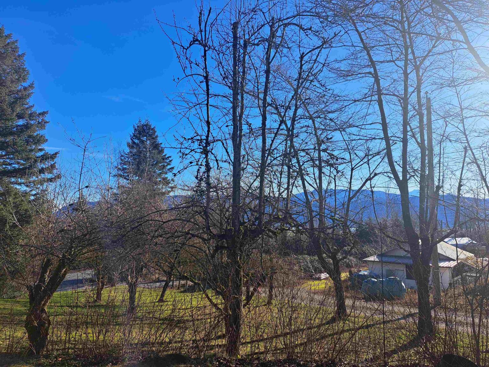 Photo 16 of 37318 Ward Road, Abbotsford BC