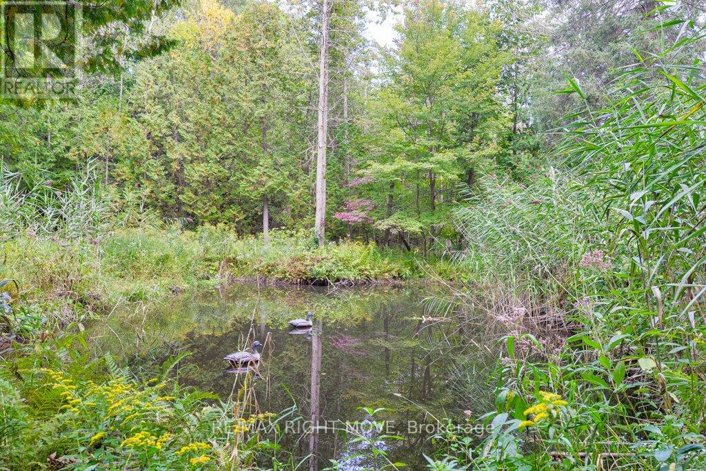 Photo 41 of 1390 Warminster Side Road, Oromedonte ON