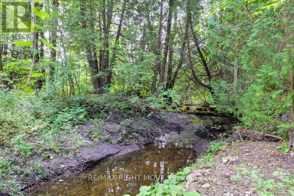 Photo 43 of 1390 Warminster Side Road, Oromedonte ON