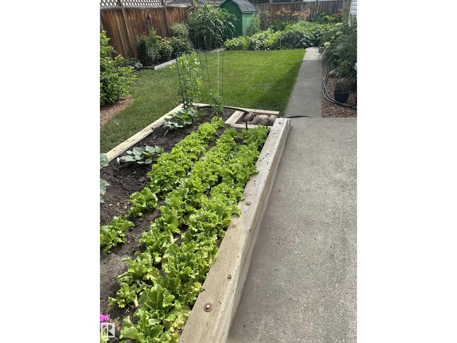 Photo 64 of 6359 105 A St Nw, Edmonton AB