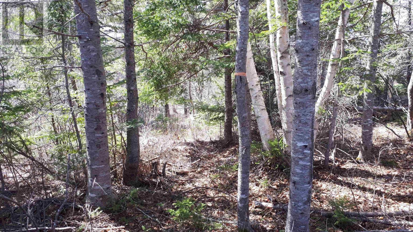 Property 9 of 15 of Evanston Rd