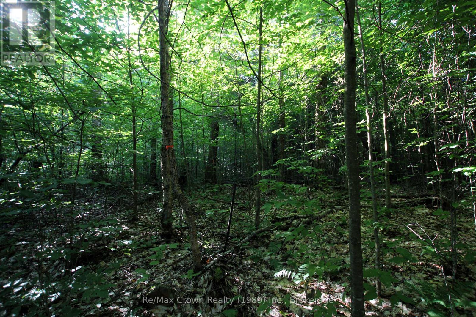 Photo 6 of 0 Hwy 522 Highway, Parry Sound Remote Area ON
