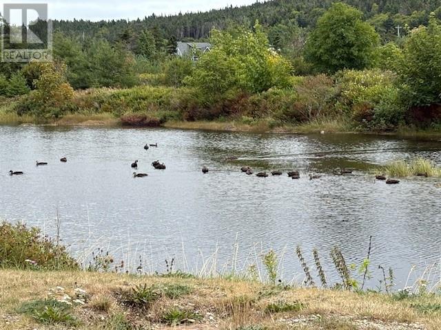 Photo 45 of 7 A Northside Road, Bay Roberts NL