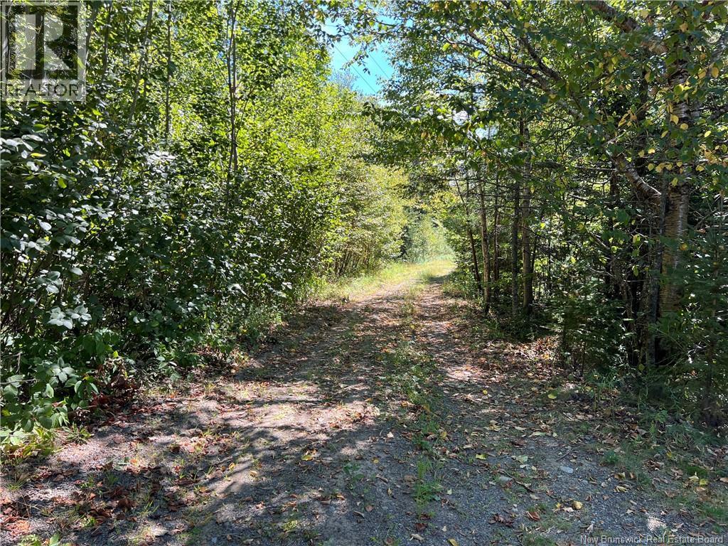 389 Bunker Hill Road - 47