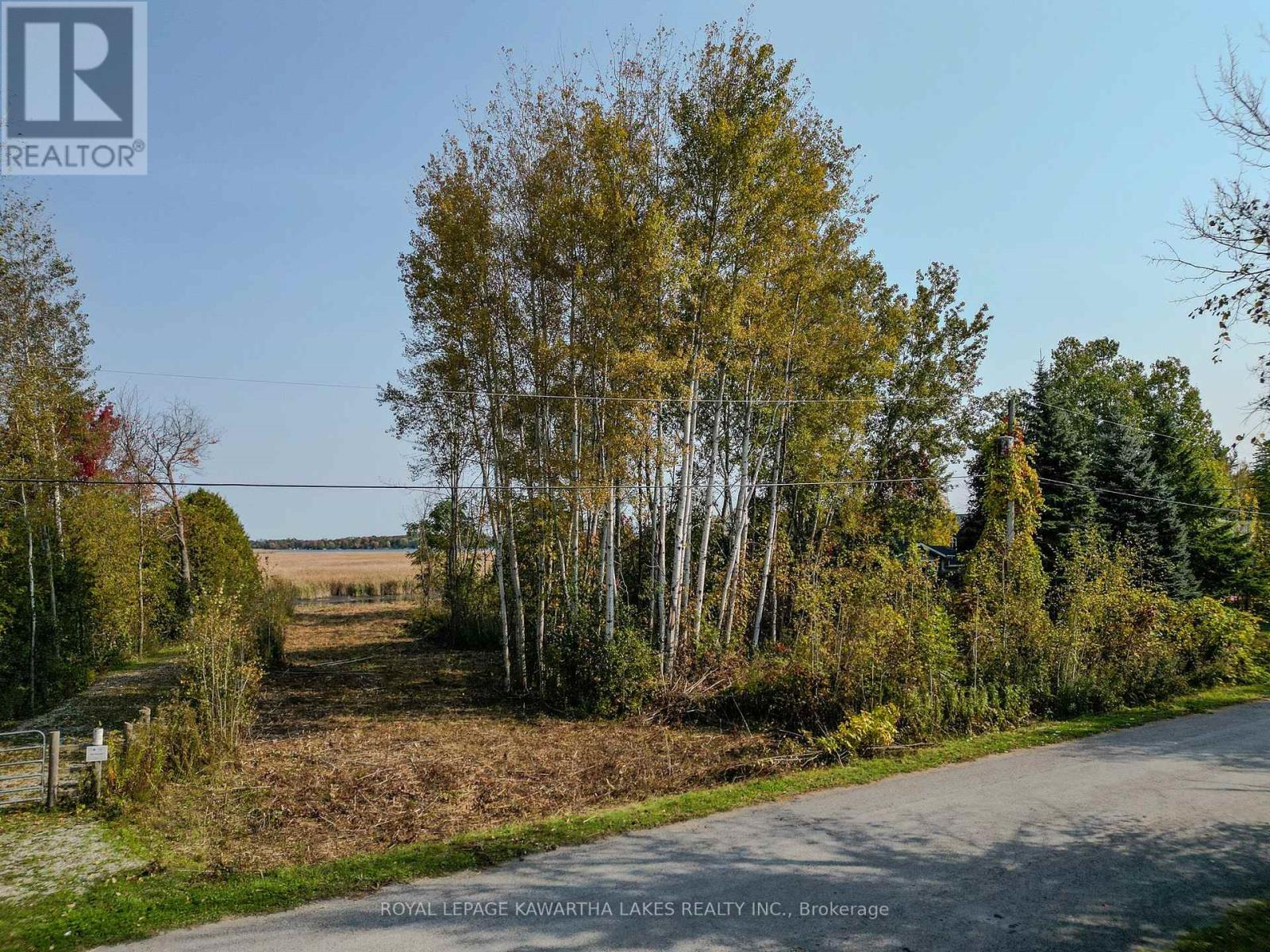 Photo 10 of Lt 14 Charlore Park Drive, Kawartha Lakes ON