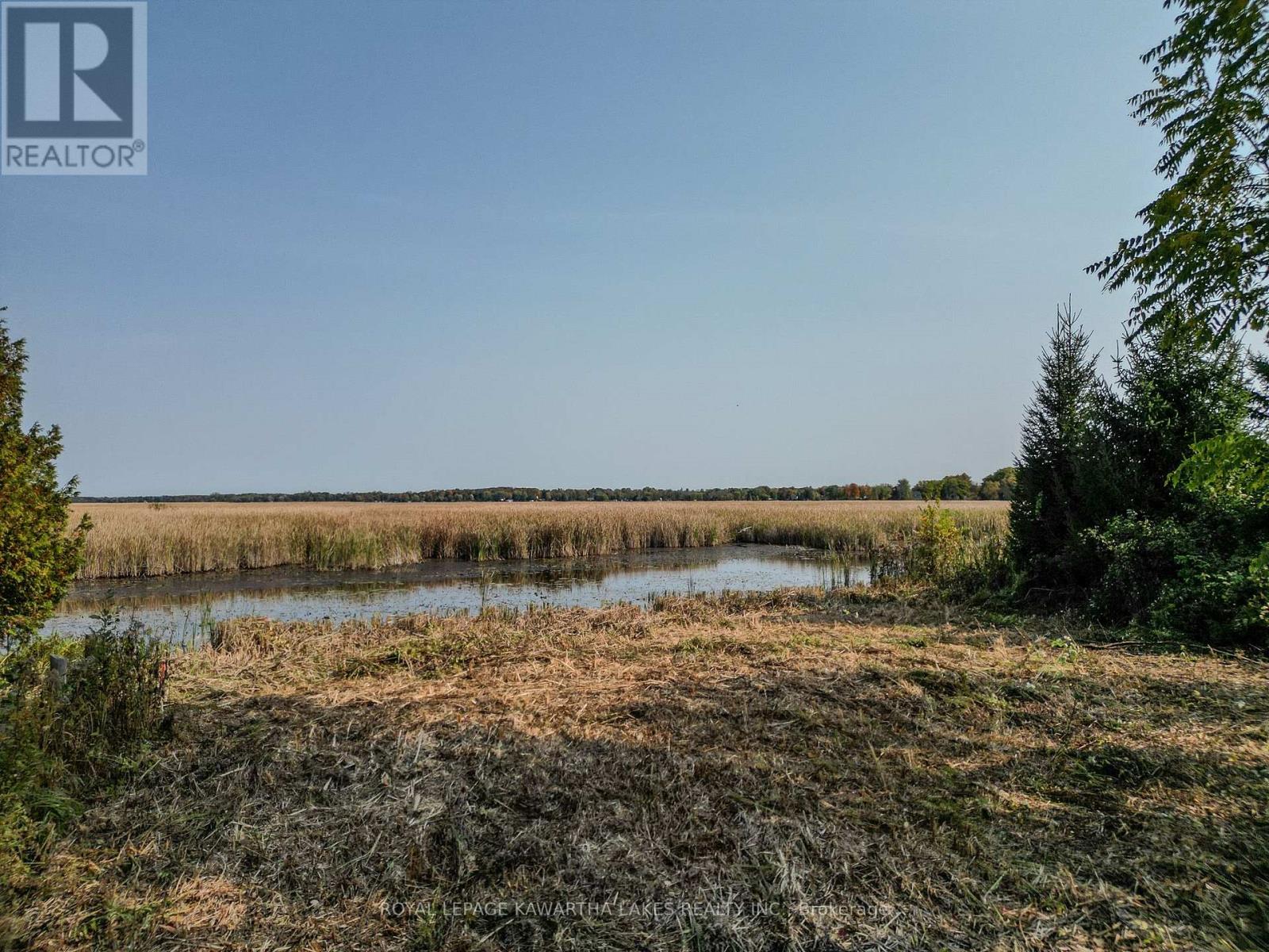 Photo 3 of Lt 14 Charlore Park Drive, Kawartha Lakes ON