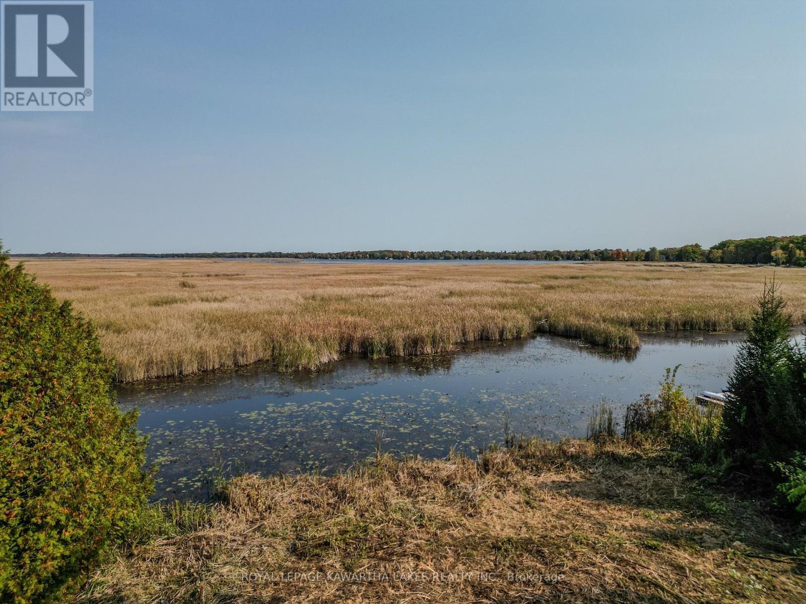 Photo 4 of Lt 14 Charlore Park Drive, Kawartha Lakes ON
