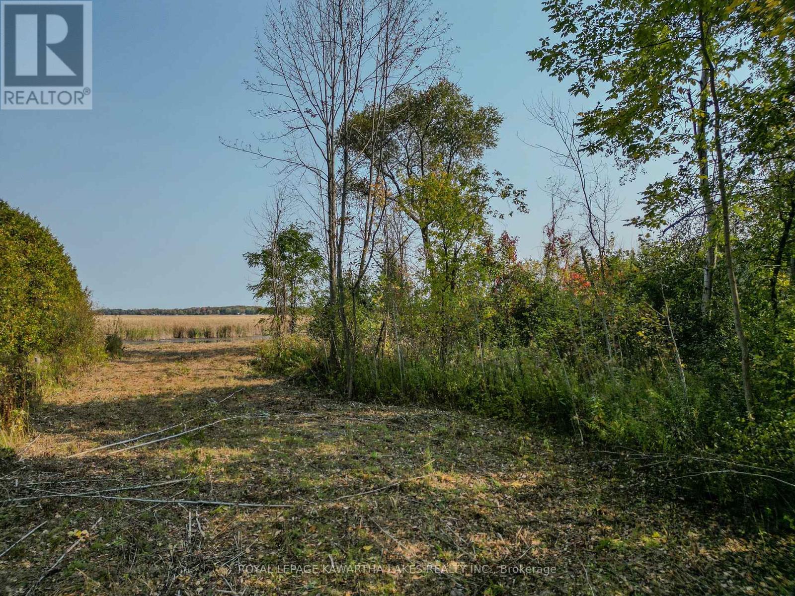 Photo 5 of Lt 14 Charlore Park Drive, Kawartha Lakes ON