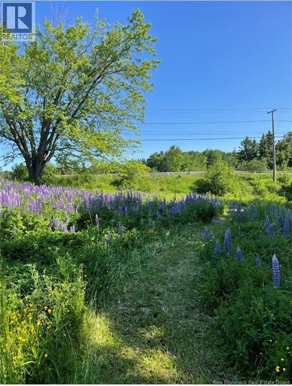 Photo 4 of Lot Main Street, Belledune NB