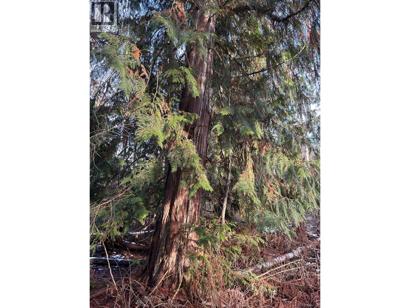 3854 Trinity Valley Road, Enderby