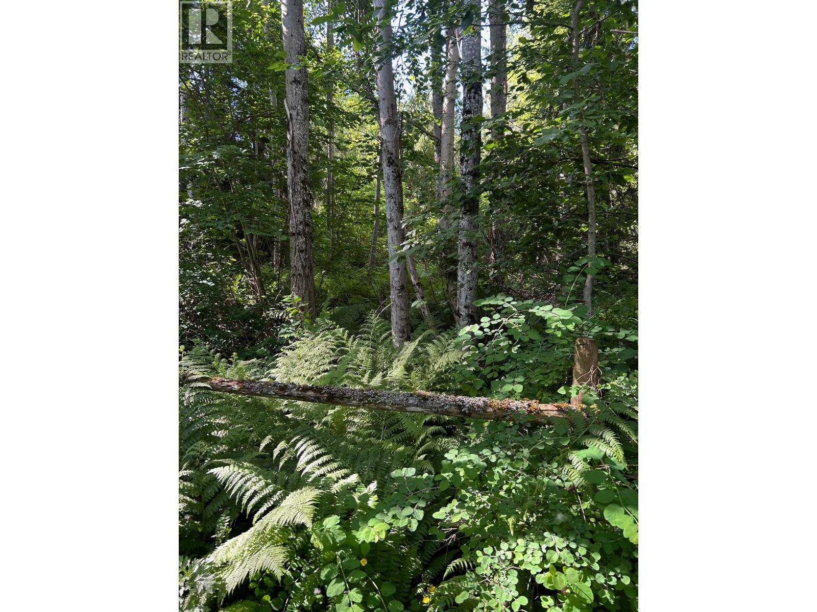 3854 Trinity Valley Road, Enderby