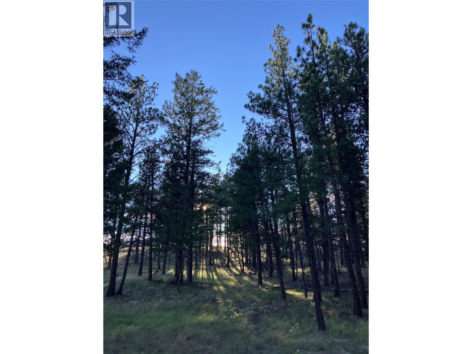  3489 Foster Road, Cranbrook