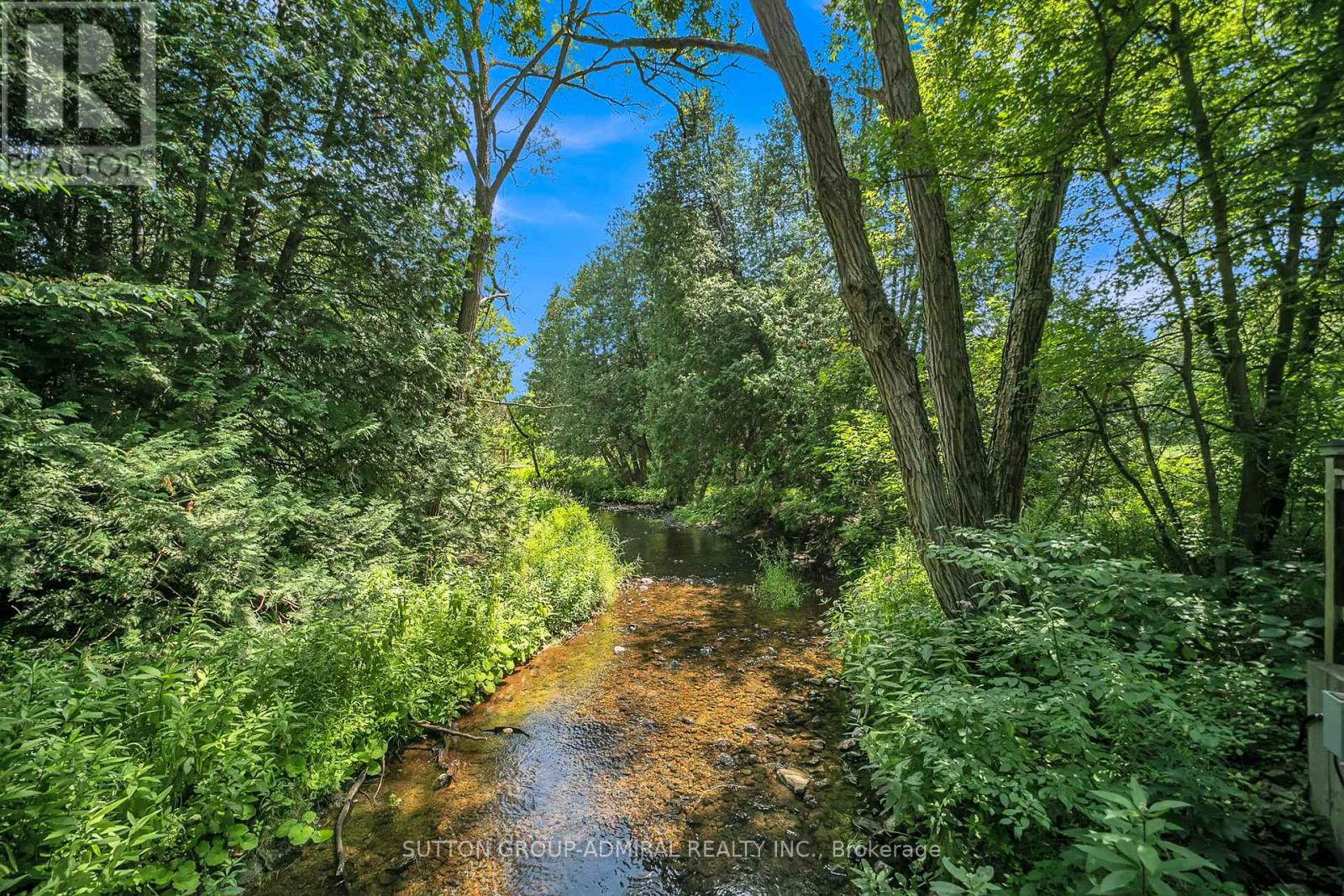 Photo 42 of 19246 Warden Avenue, East Gwillimbury ON