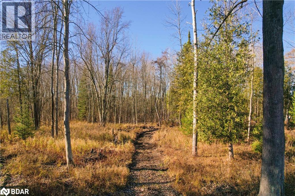 Photo 36 of 6605 County Road 21, Essa ON
