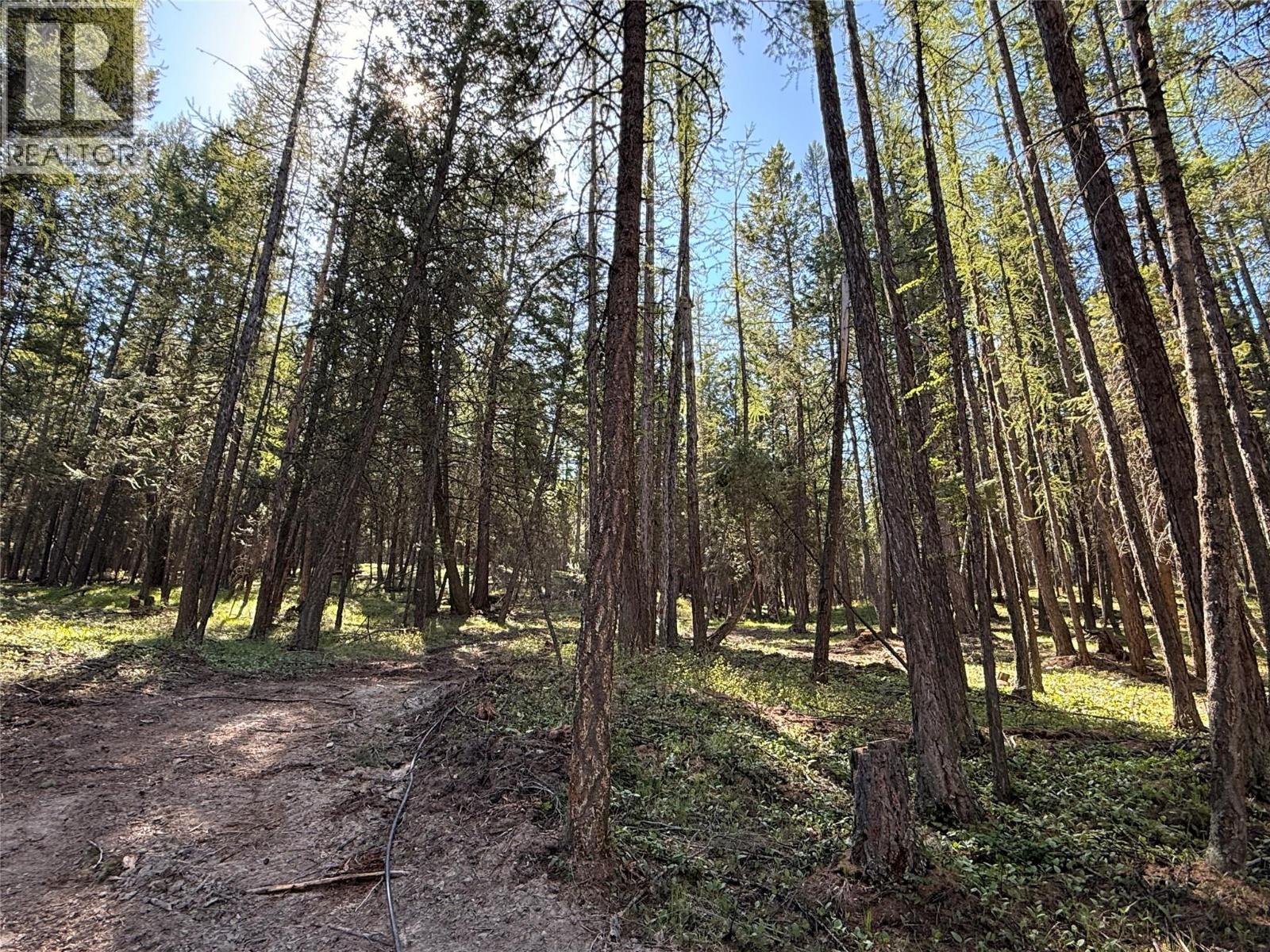 785 Silver Creek Road - 31