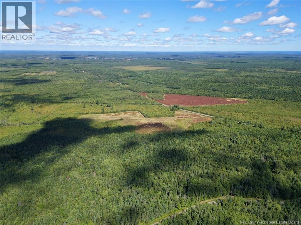 Photo 14 of Lot Ch Saint Charles Nord, Saintcharles NB