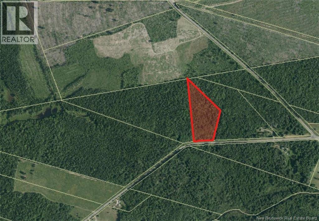 Photo 10 of Lot Ch Saint Charles Nord, Saintcharles NB