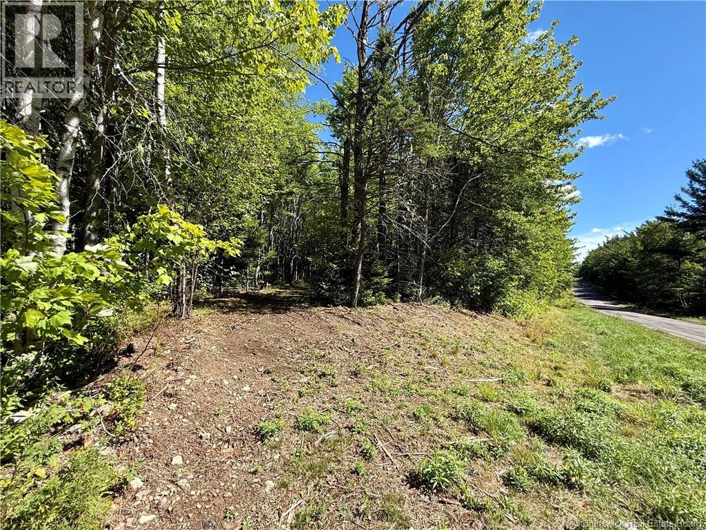 Photo 4 of Lot Ch Saint Charles Nord, Saintcharles NB
