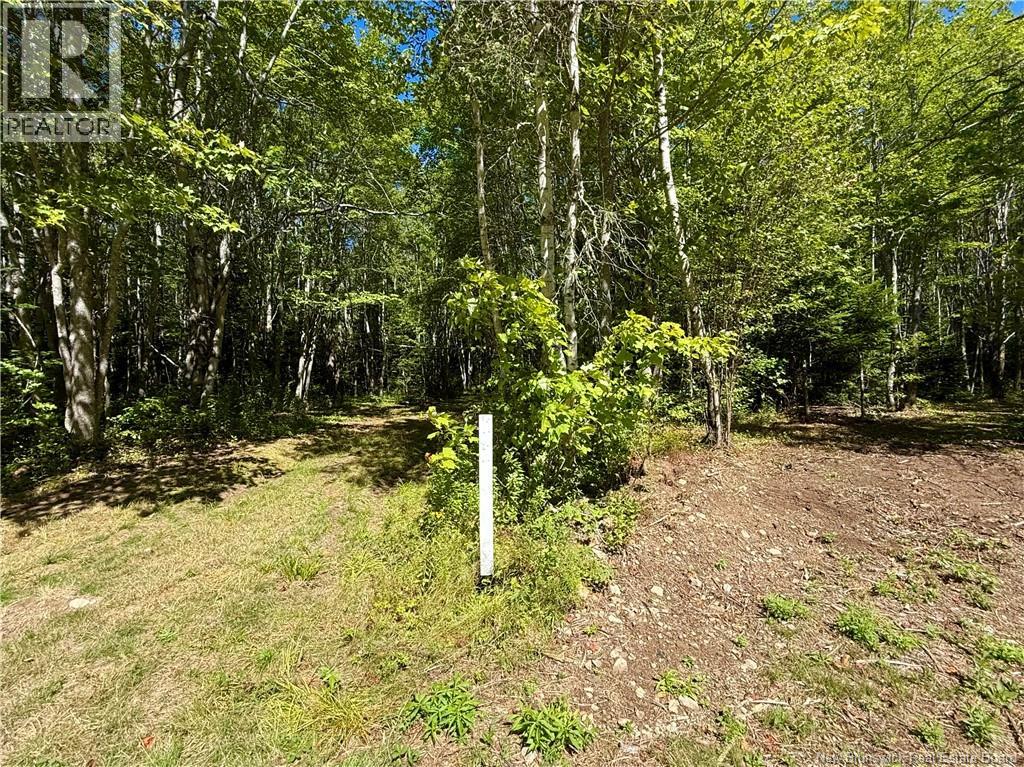 Photo 9 of Lot Ch Saint Charles Nord, Saintcharles NB