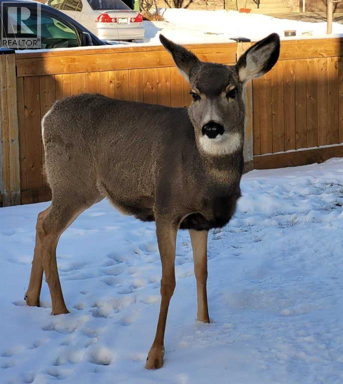 Photo 29 of 200 Cimarron Drive, Okotoks AB