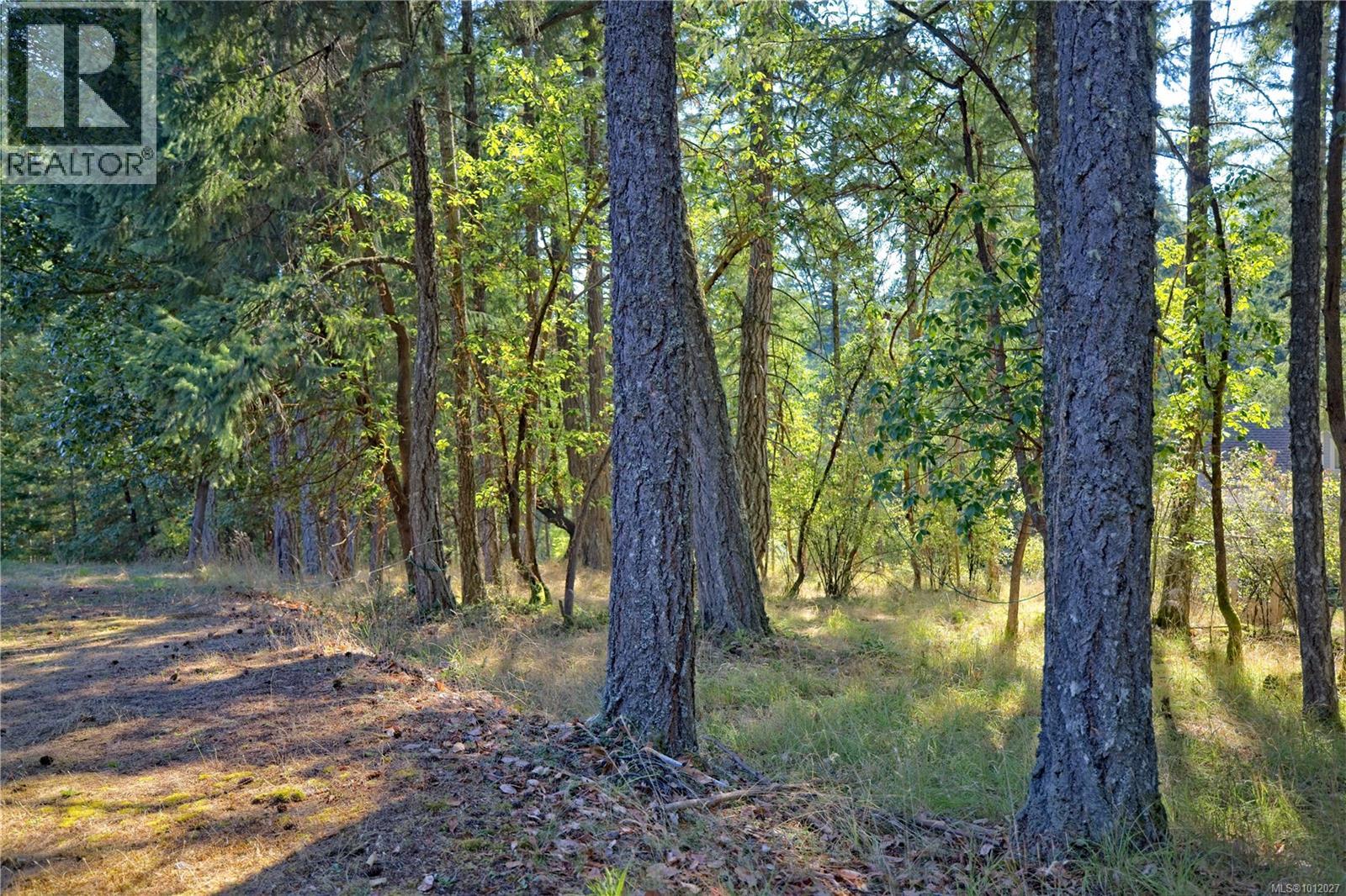  229 Cormorant Crescent, Salt Spring