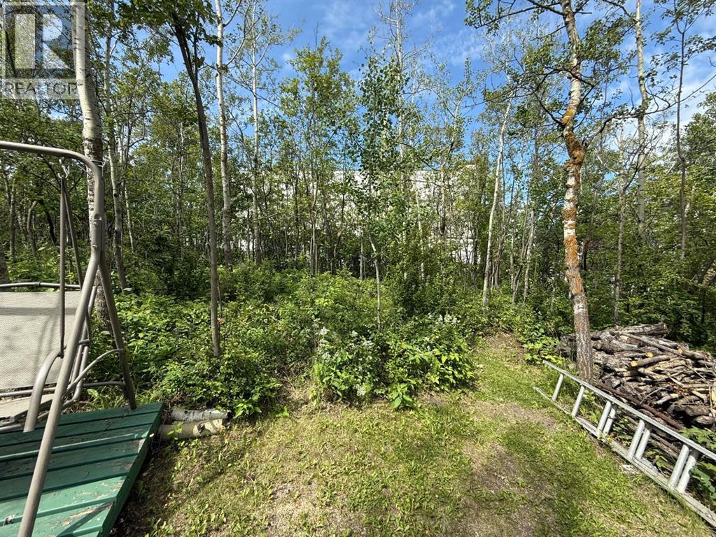 Photo 9 of 4640 49 Street, Sylvan Lake AB