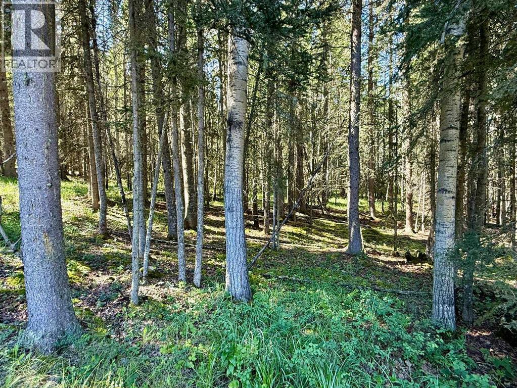 Photo 37 of 7 29508 Range Road 52, Rural Mountain View County AB