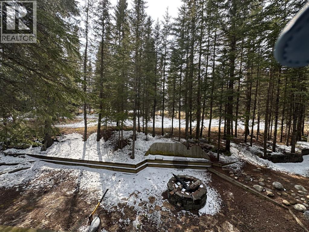 Photo 14 of 48 32379 Range Road 55, Rural Mountain View County AB