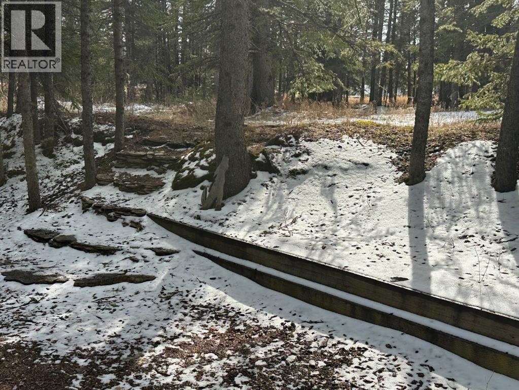 Photo 12 of 48 32379 Range Road 55, Rural Mountain View County AB
