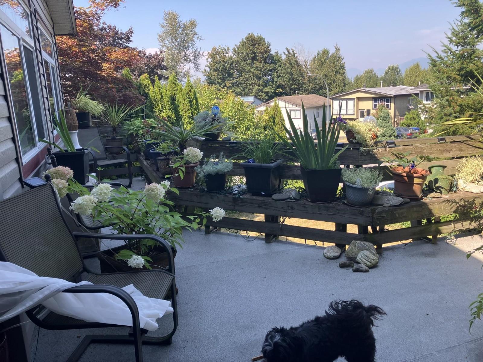 Photo 5 of 3470 Juniper Crescent, Abbotsford BC