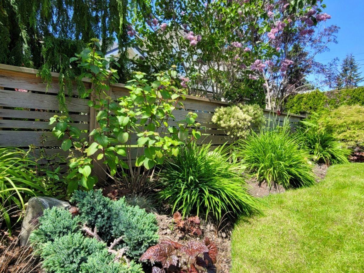 Photo 33 of 1383 129 A Street, Surrey BC